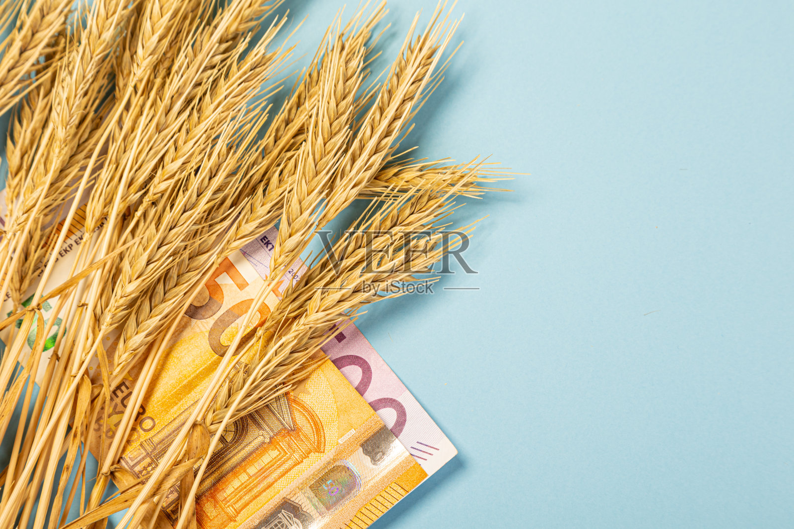 小麦纸币和蓝色背景的欧元纸币。主题是小麦的谷物短缺。宏特写照片摄影图片