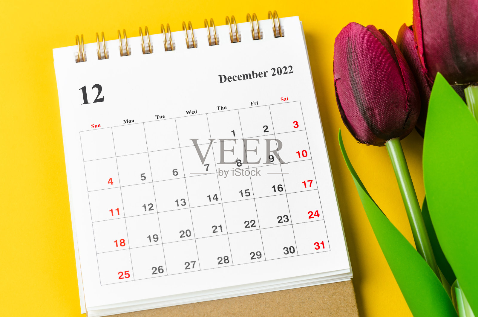 2022年12月月历，黄底红郁金香。照片摄影图片