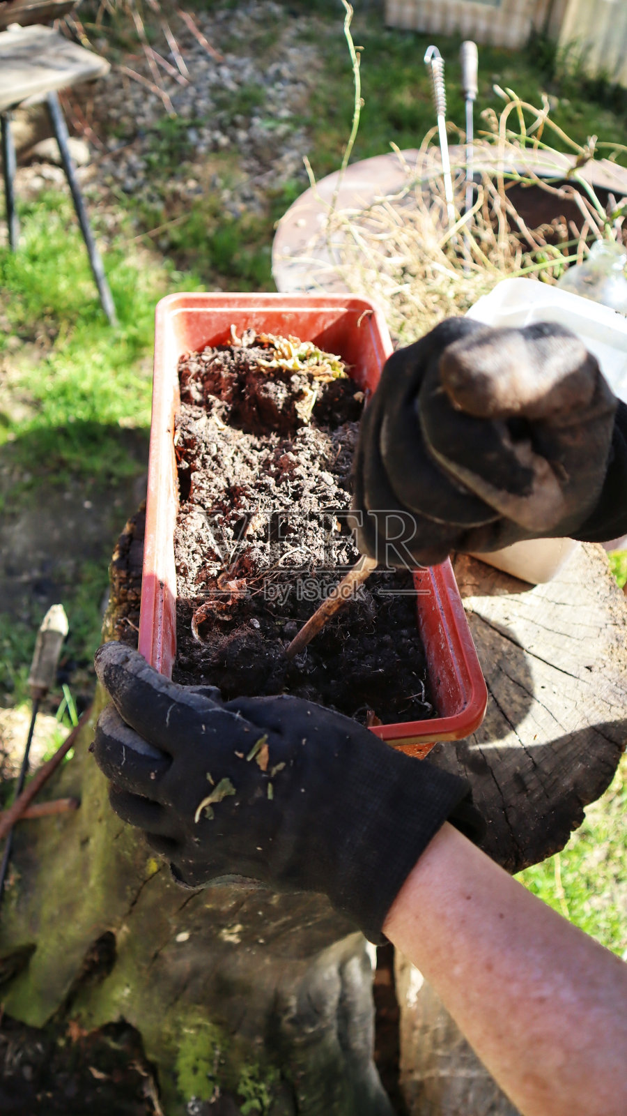 花园的工作照片摄影图片