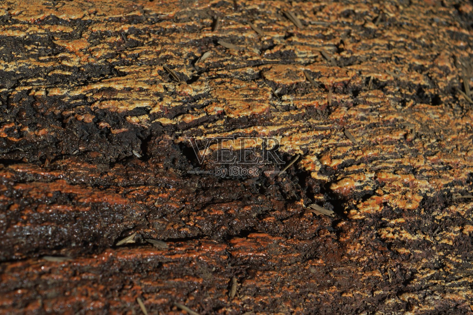 背景:木口音照片摄影图片