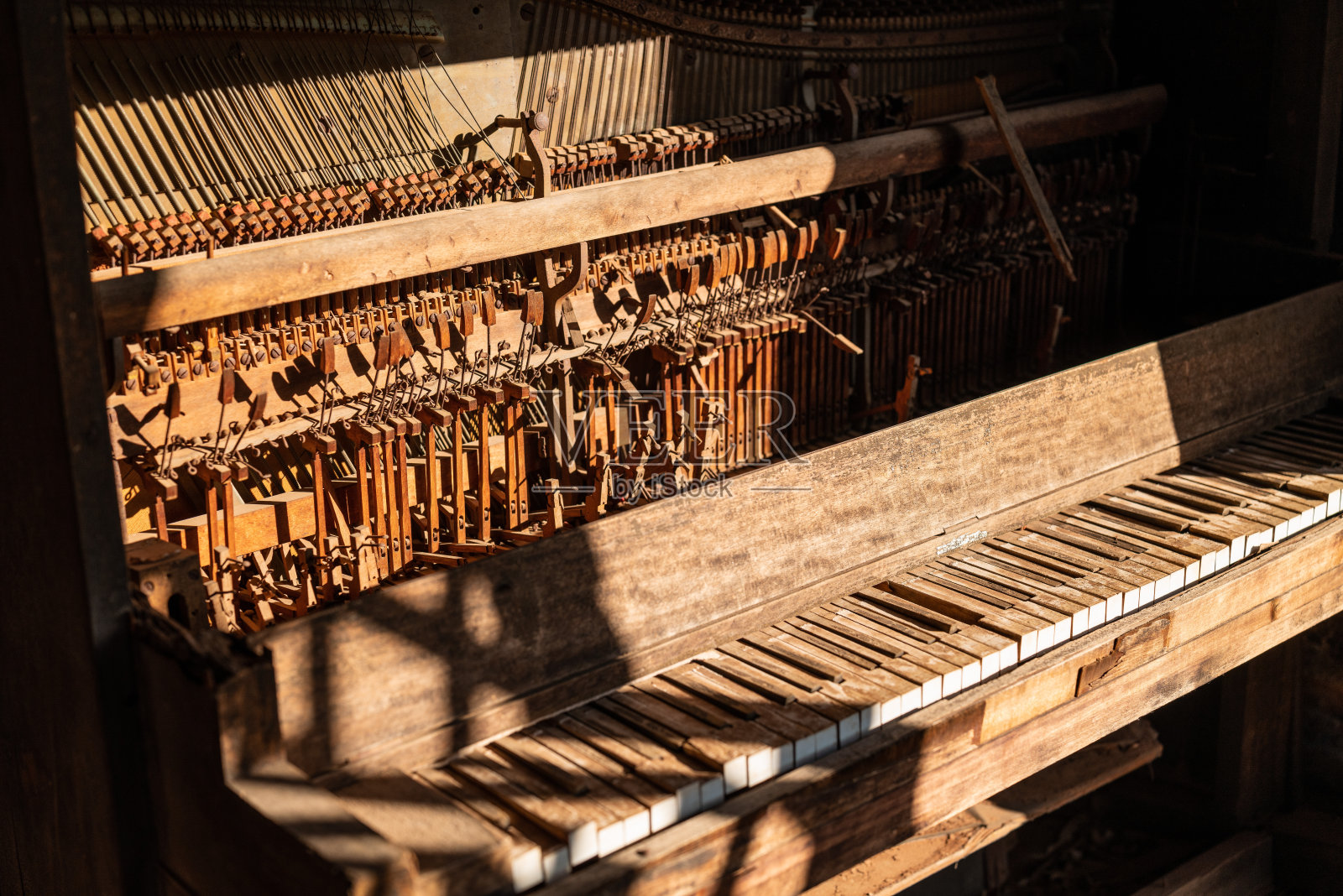 瓜利亚照片摄影图片