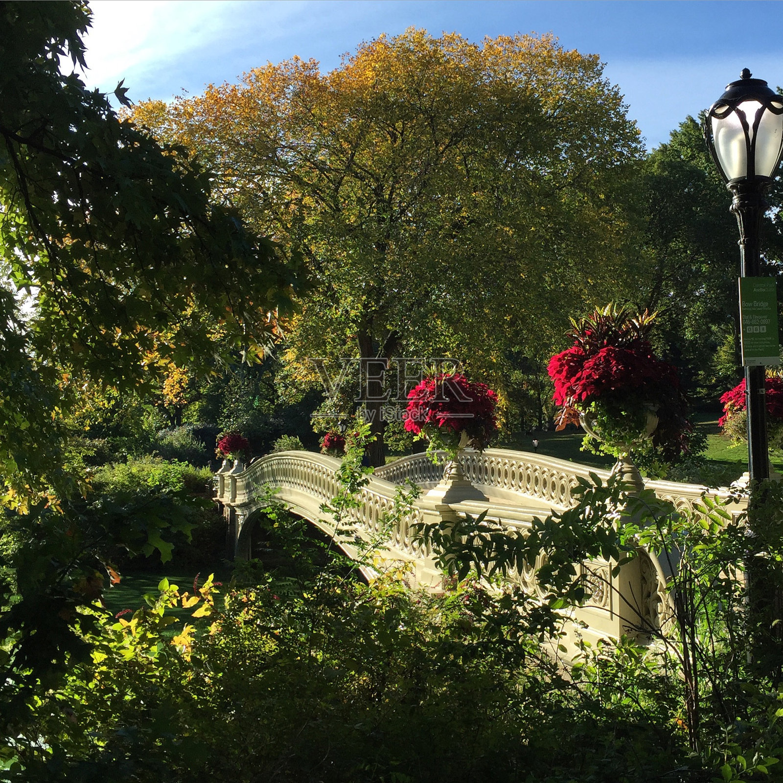 中央公园的春天照片摄影图片