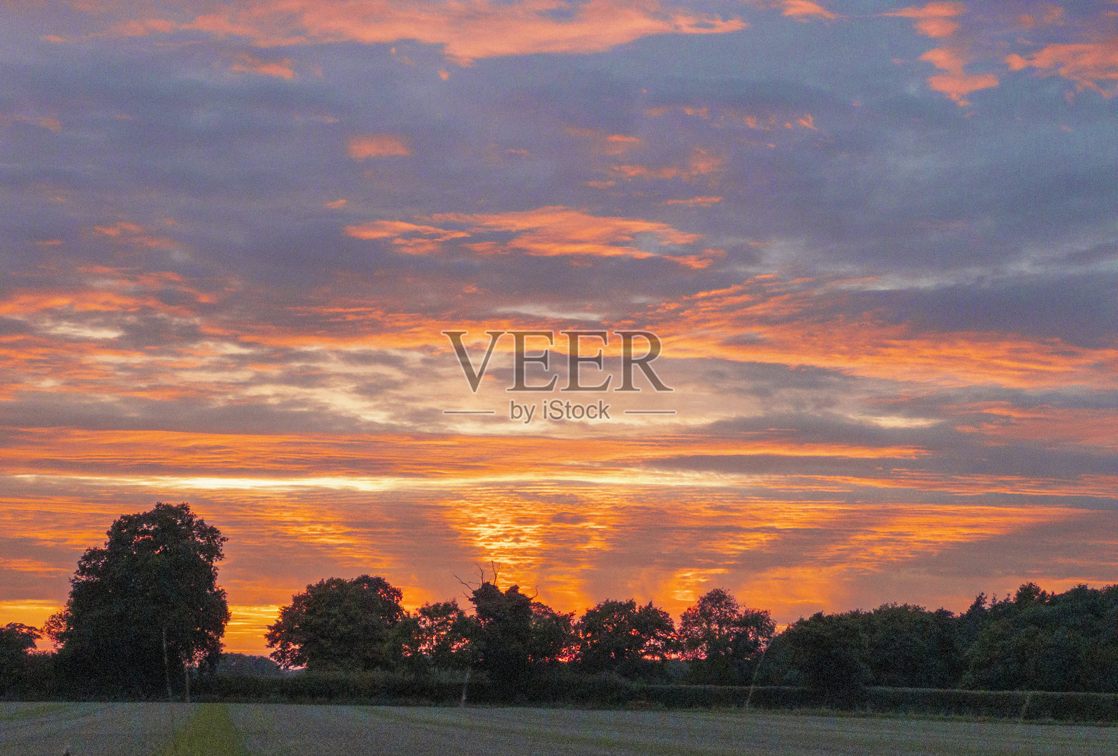 田野上的日落照片摄影图片