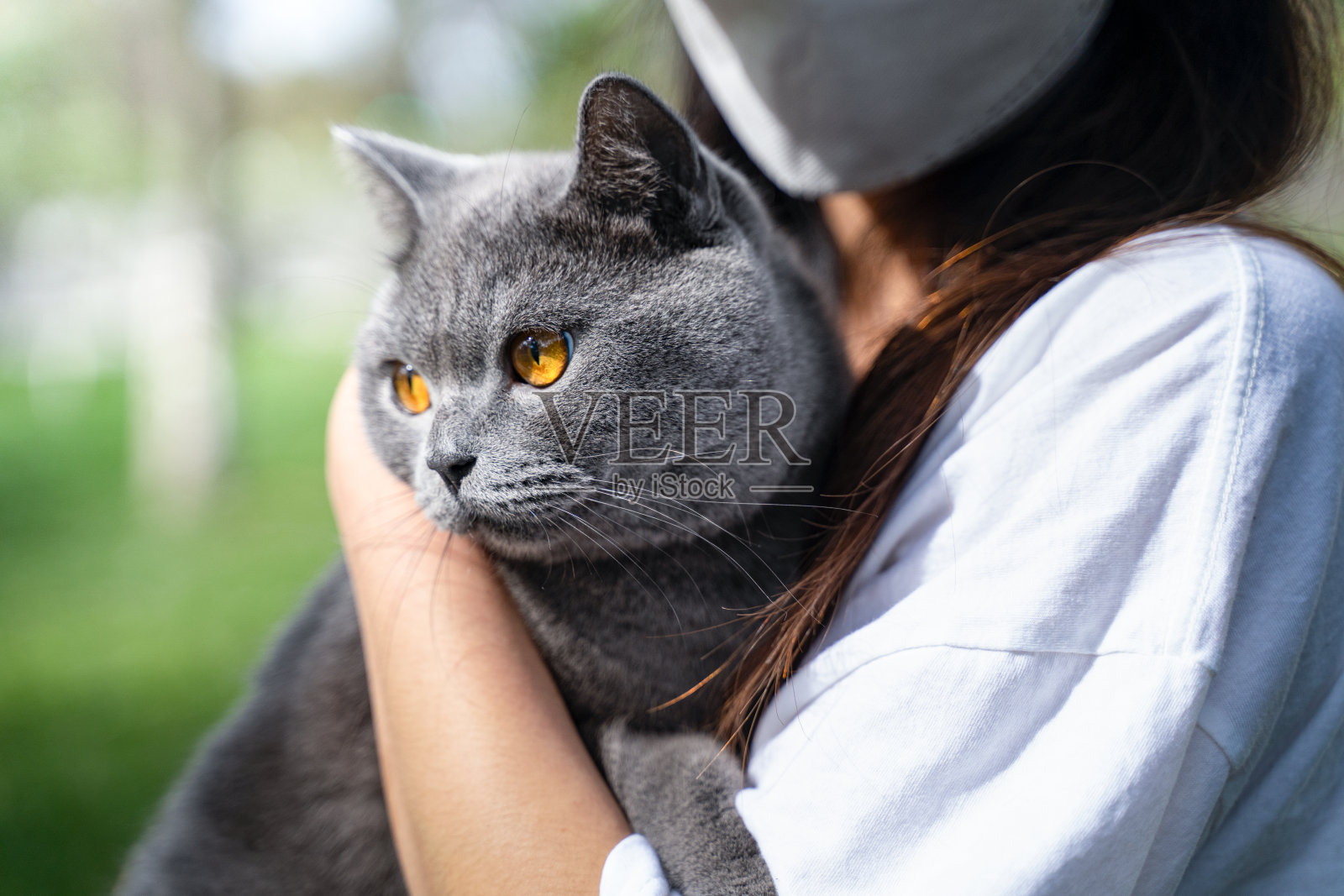 女孩和猫在玩照片摄影图片