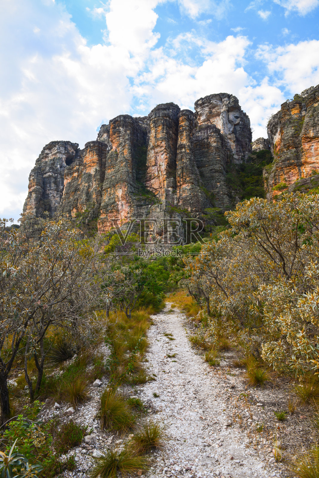 在米纳斯吉拉斯州崎岖的悬崖和塞拉多植被之间的徒步小径照片摄影图片