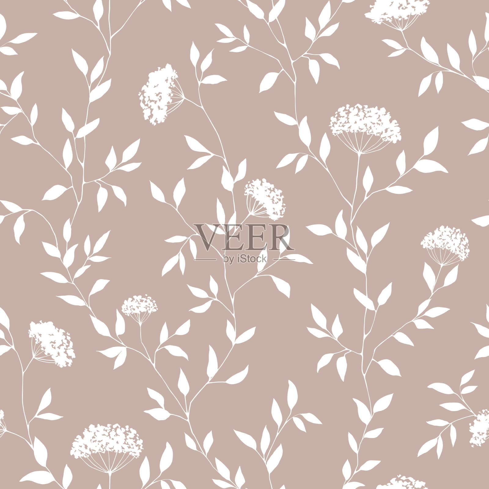 咖啡上的老式白色花卉图案插画图片素材