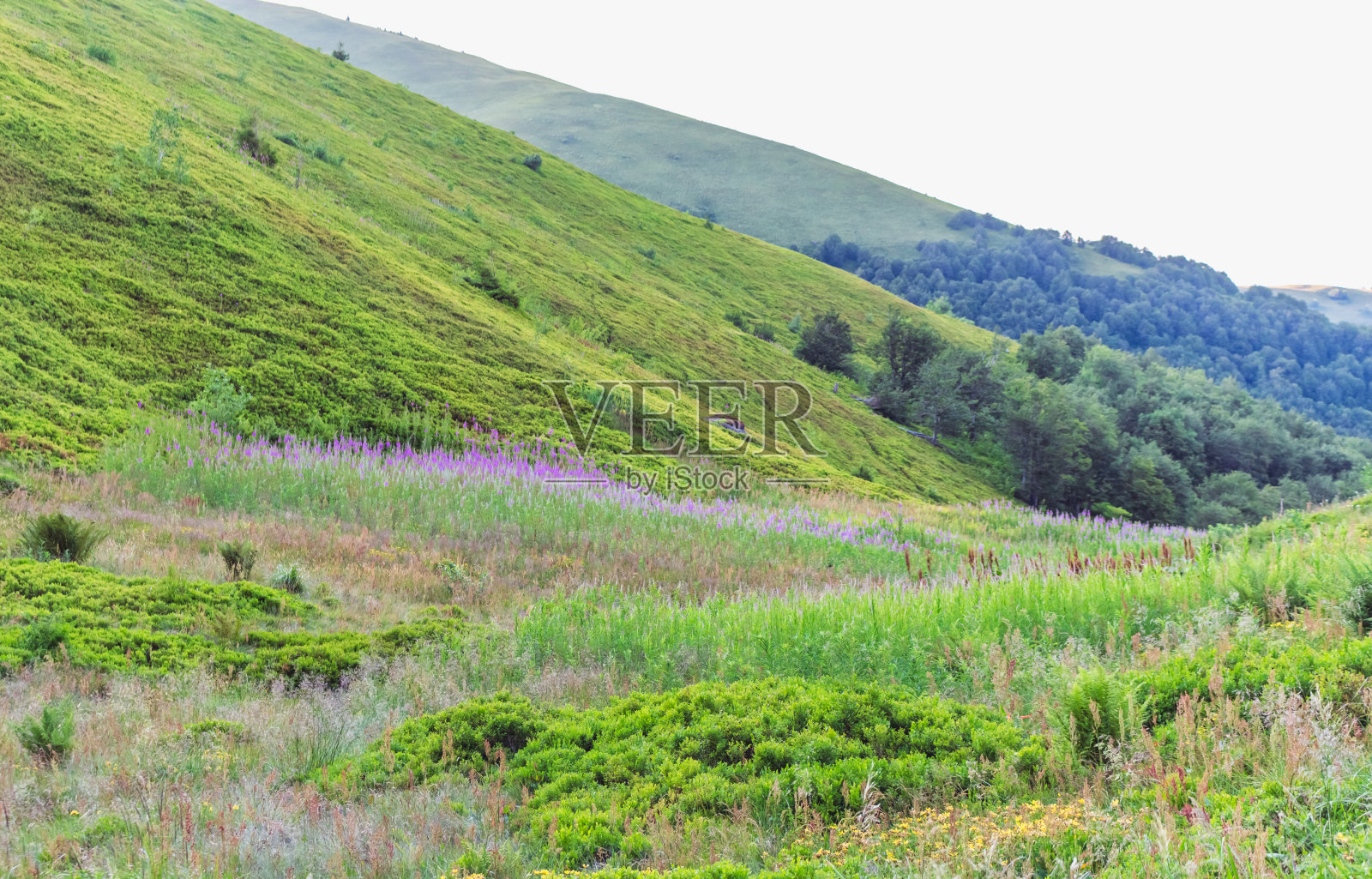山照片摄影图片