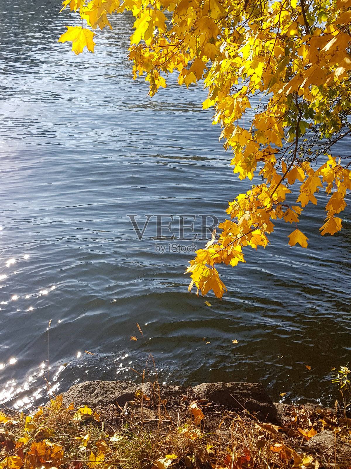 秋天动机在湖边照片摄影图片