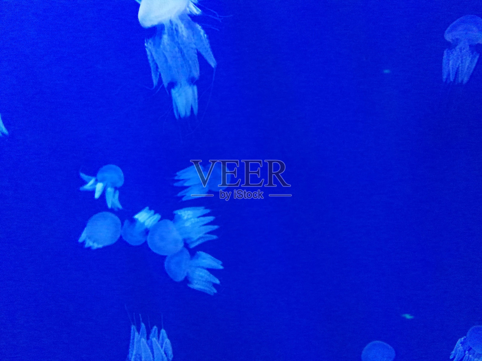 大自然的魅力是如此迷人照片摄影图片