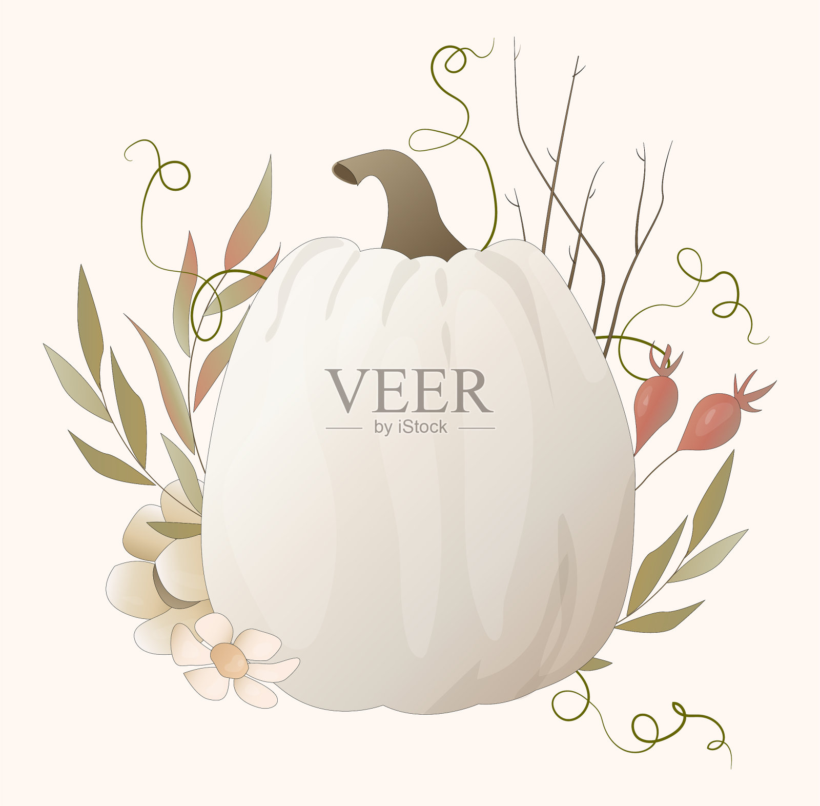 多汁和成熟的秋天南瓜装饰植物和花朵插画图片素材