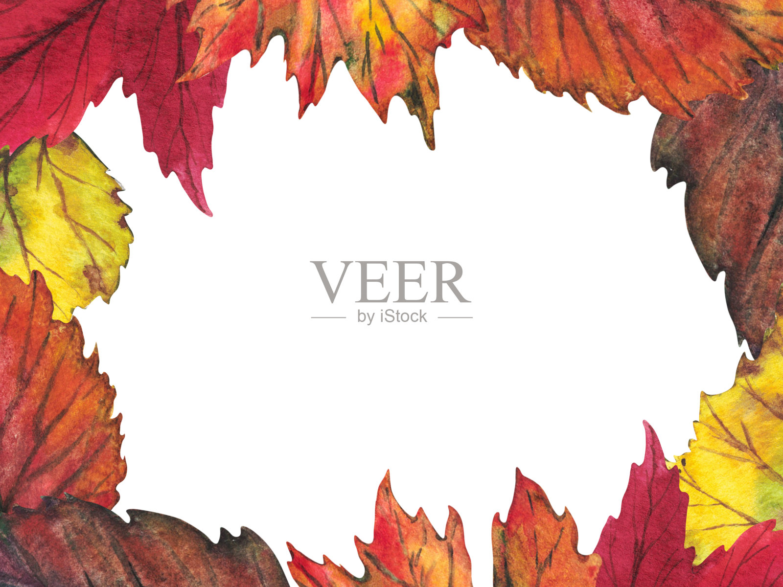 水彩秋天框架。白色背景上孤立的树叶水彩旗。秋天说明. .插画图片素材