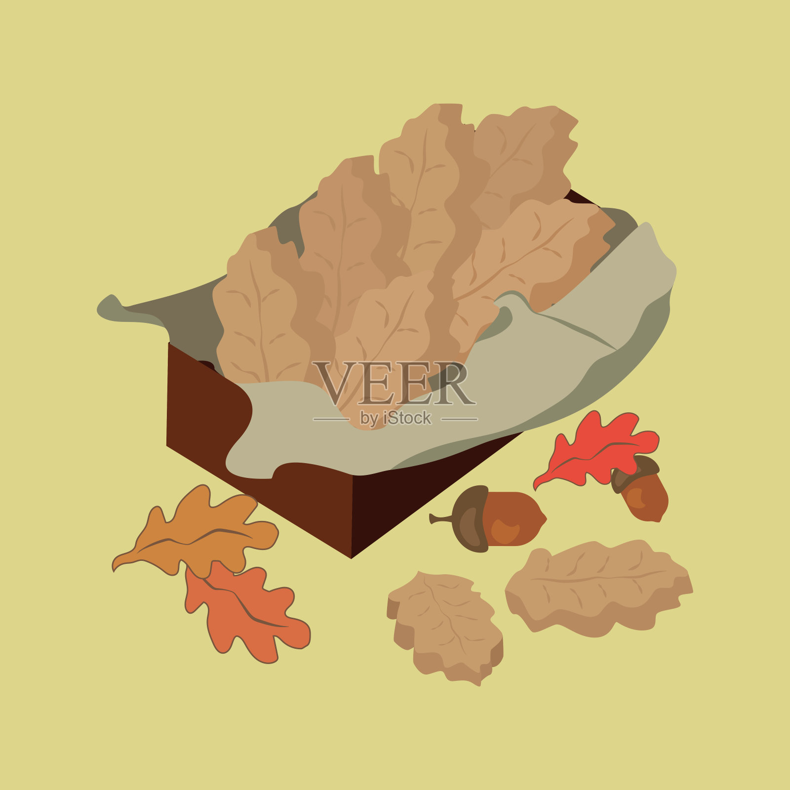 一盒秋叶形状的饼干插画图片素材