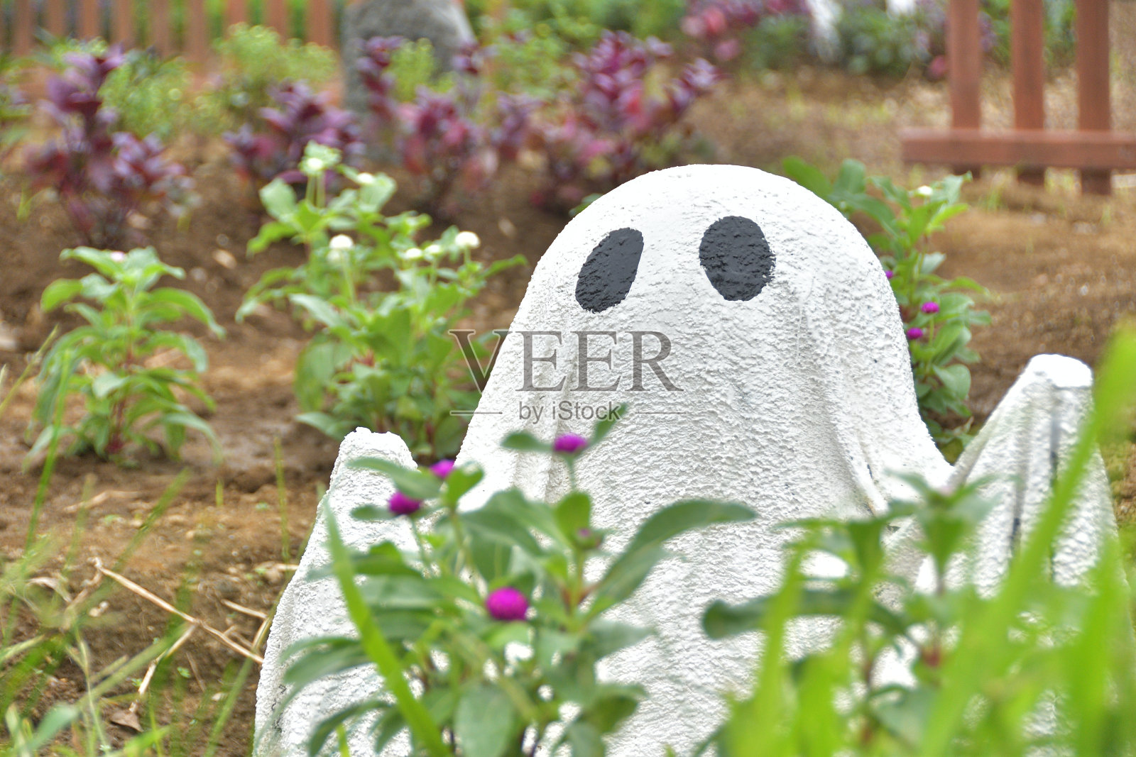 万圣节闹鬼的装饰。照片摄影图片