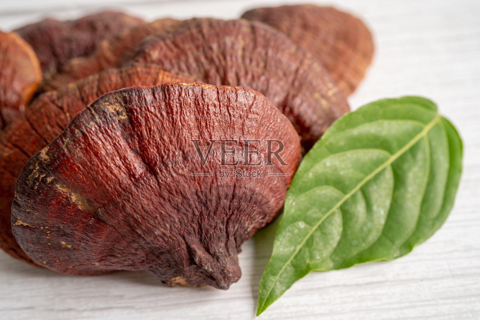 灵芝菇干配胶囊药，有机中草药，替代中草药。照片摄影图片