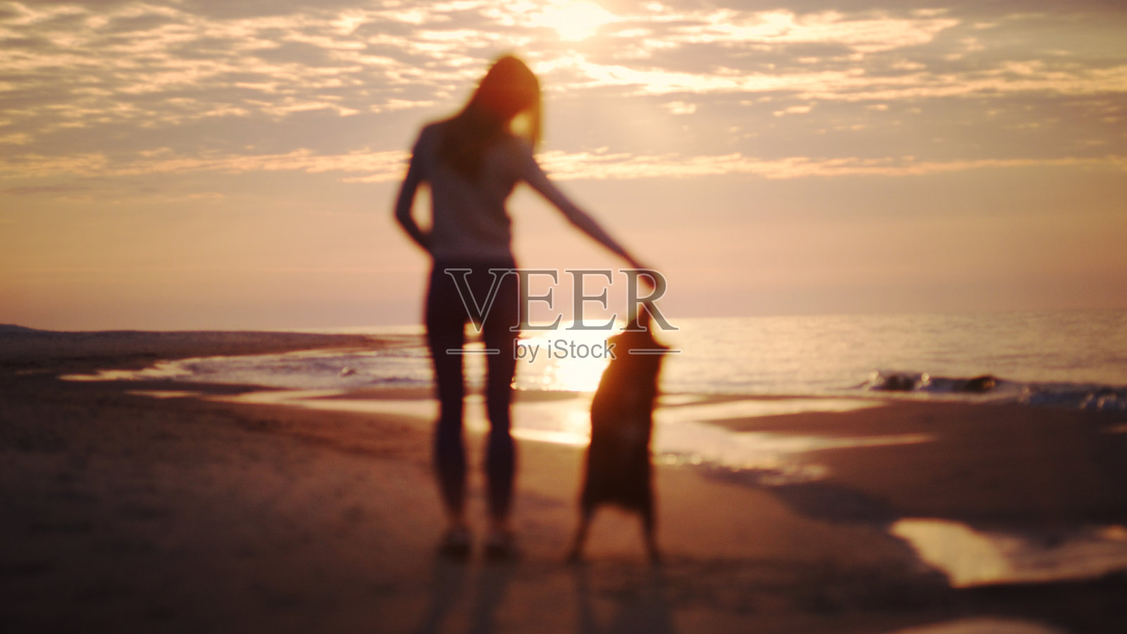 日落时分在海滩上和狗狗玩耍照片摄影图片