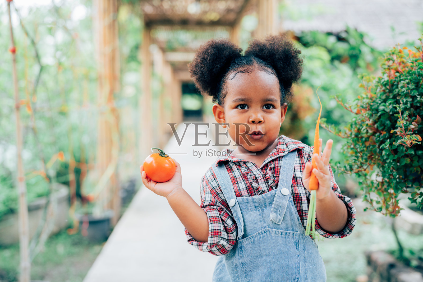 一个可爱的小女孩在农场的特写画像。照片摄影图片