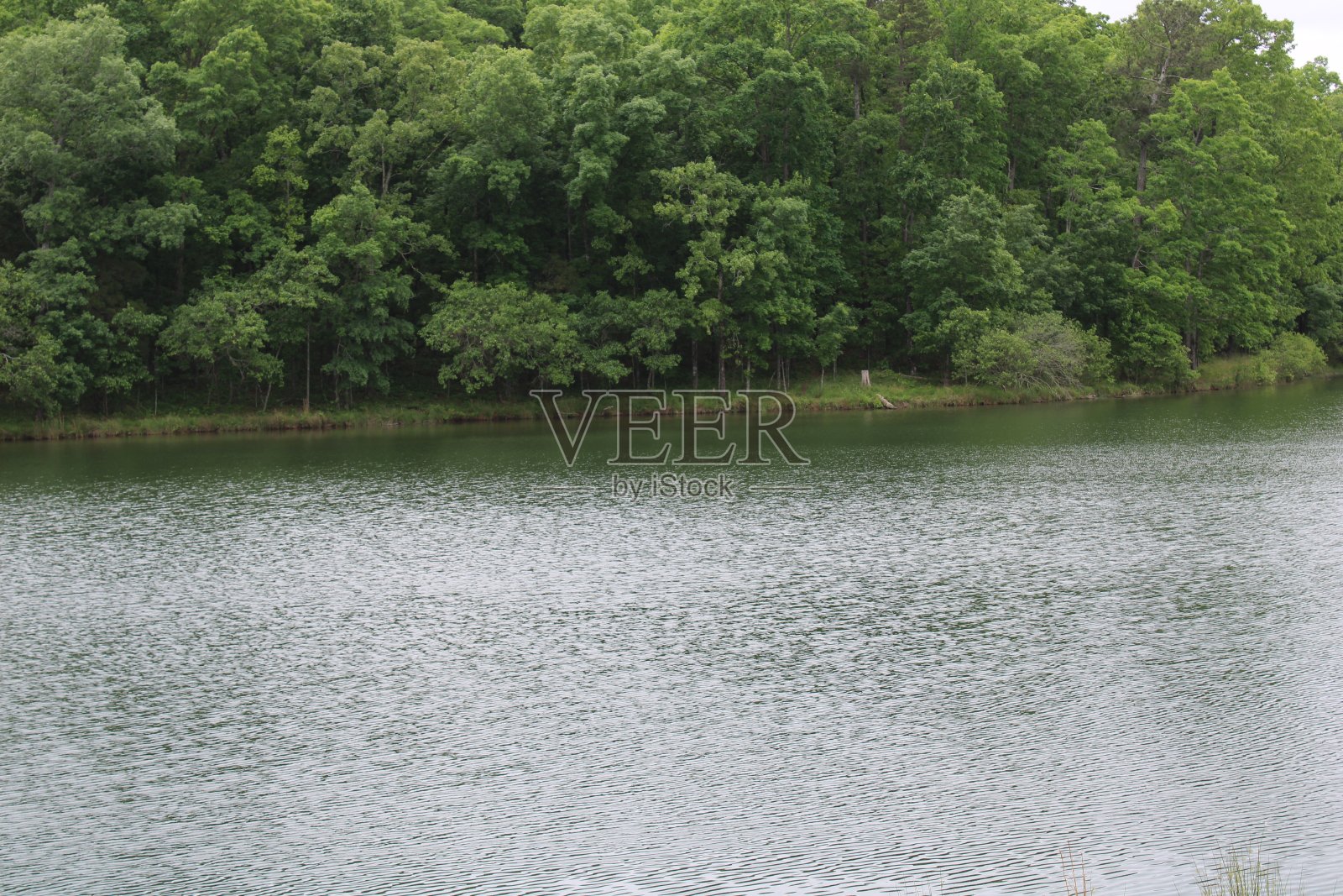 公园的风景照片摄影图片