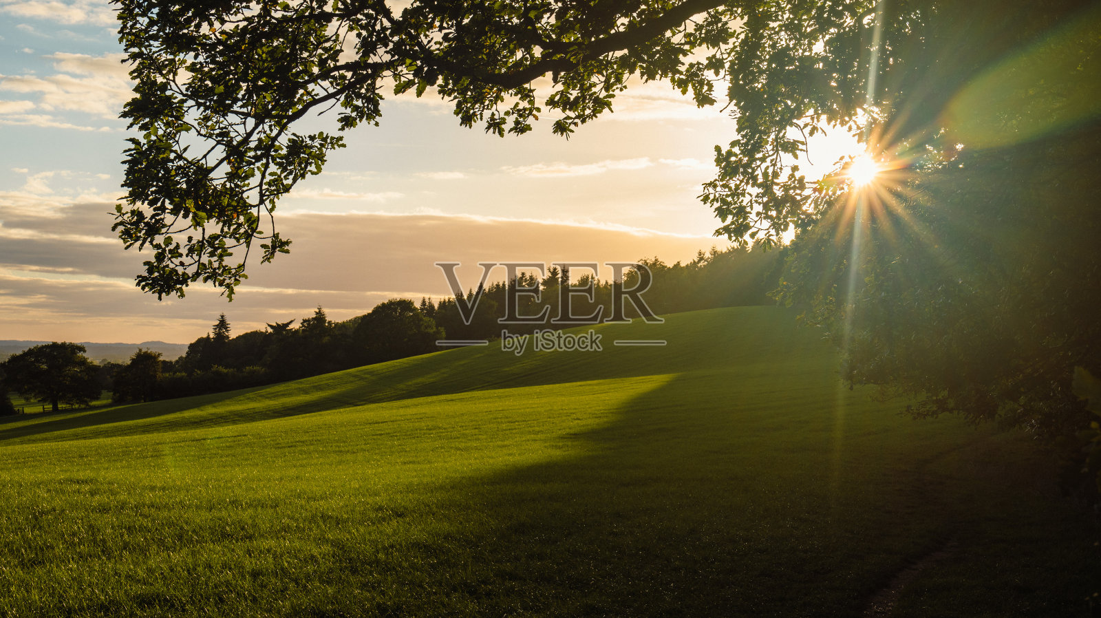 英国基德敏斯特的查德斯雷森林照片摄影图片