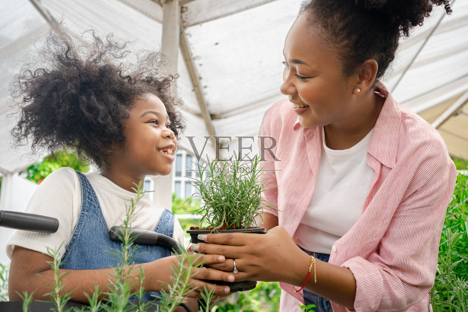 非洲母亲和女儿选择植物在花园中心商店苗圃与购物车。绿色生长树。全球气候变暖的概念。妈妈和孩子在花店挑选植物。照片摄影图片