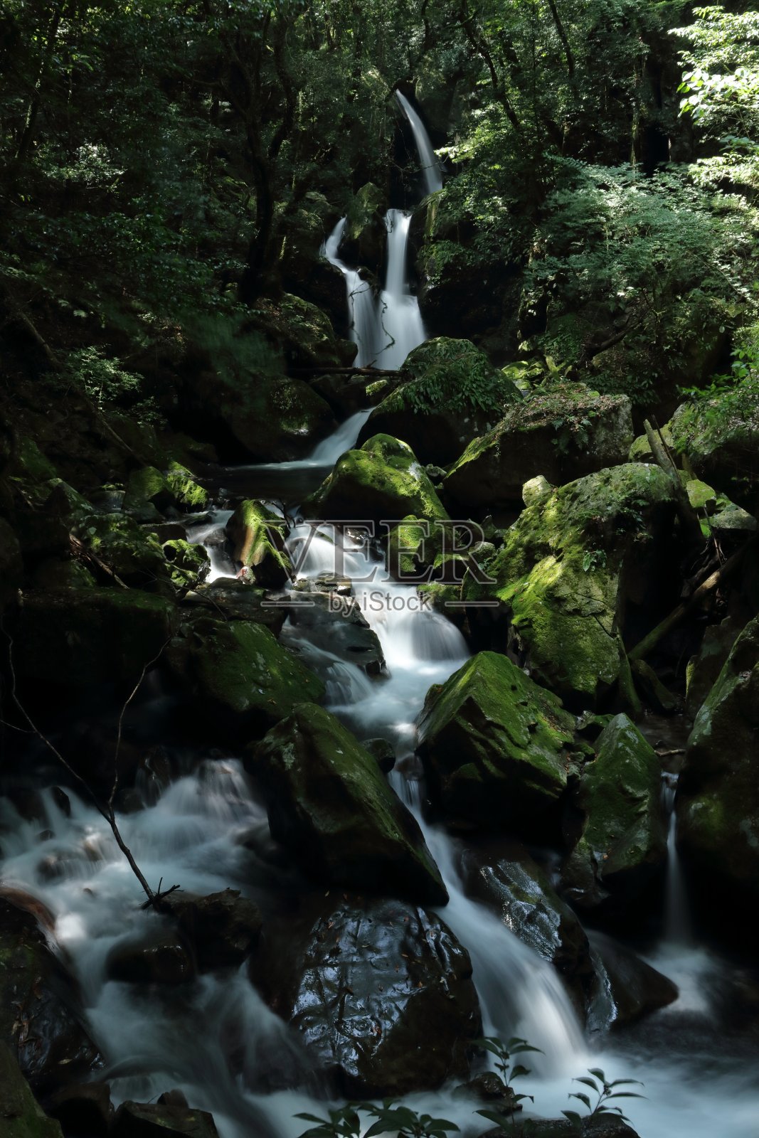 夏天的富多瀑布，优美的流水(高知县北川村尼诺泷)照片摄影图片