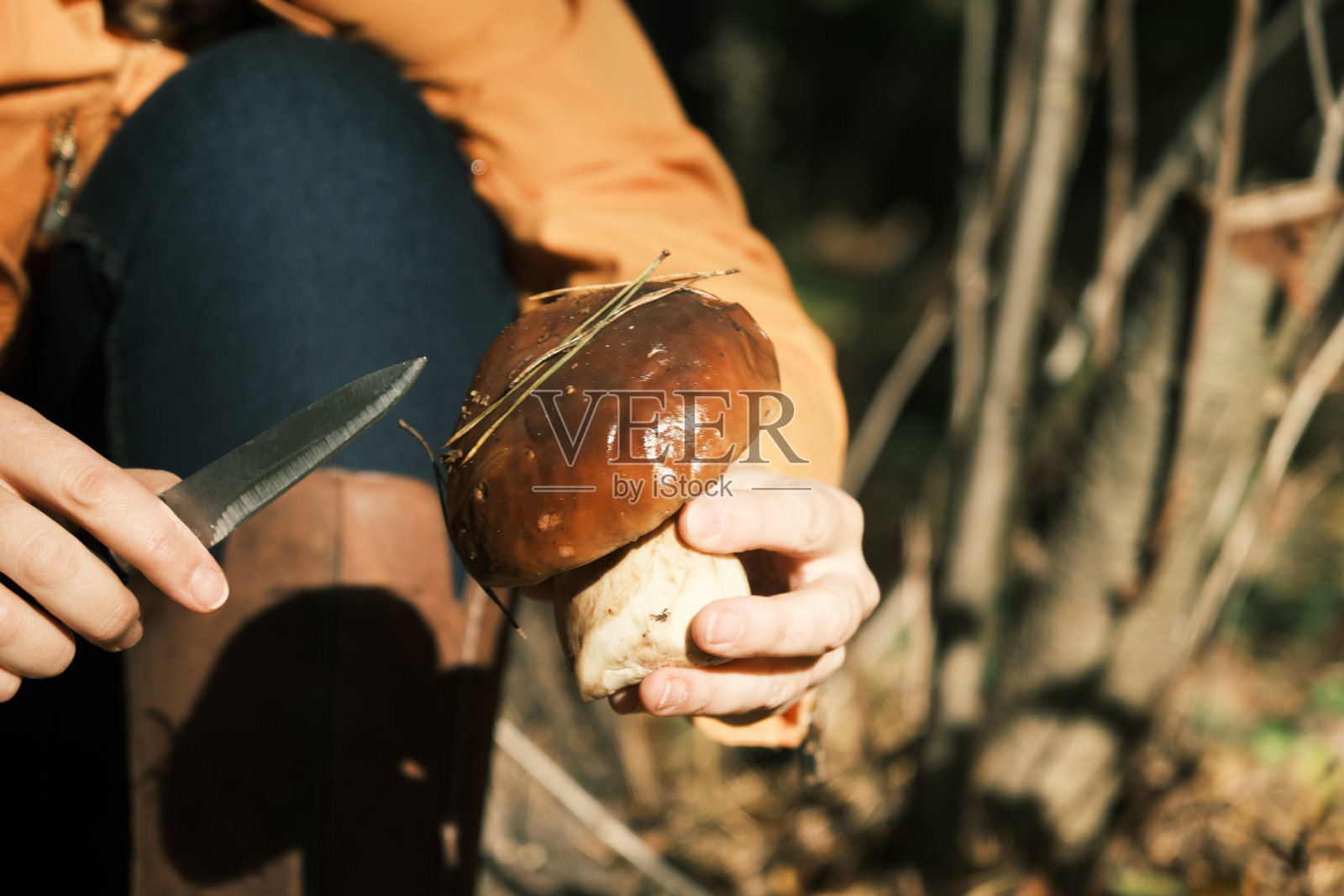 在森林里采蘑菇照片摄影图片