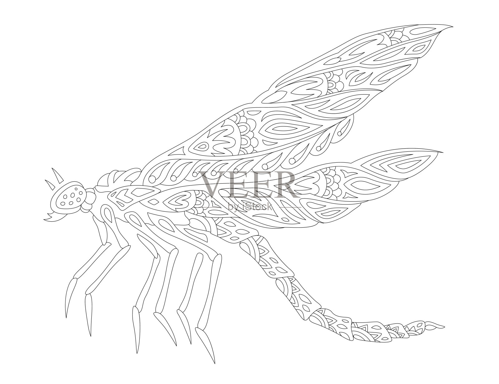 手绘蜻蜓的涂色书艺术插画图片素材