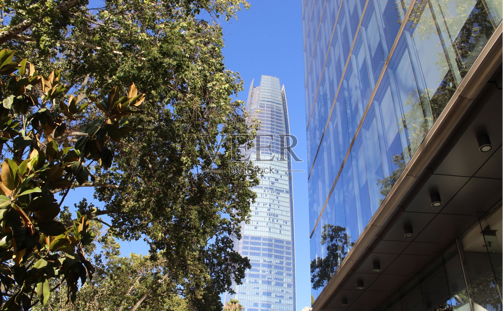 摩天大楼照片摄影图片