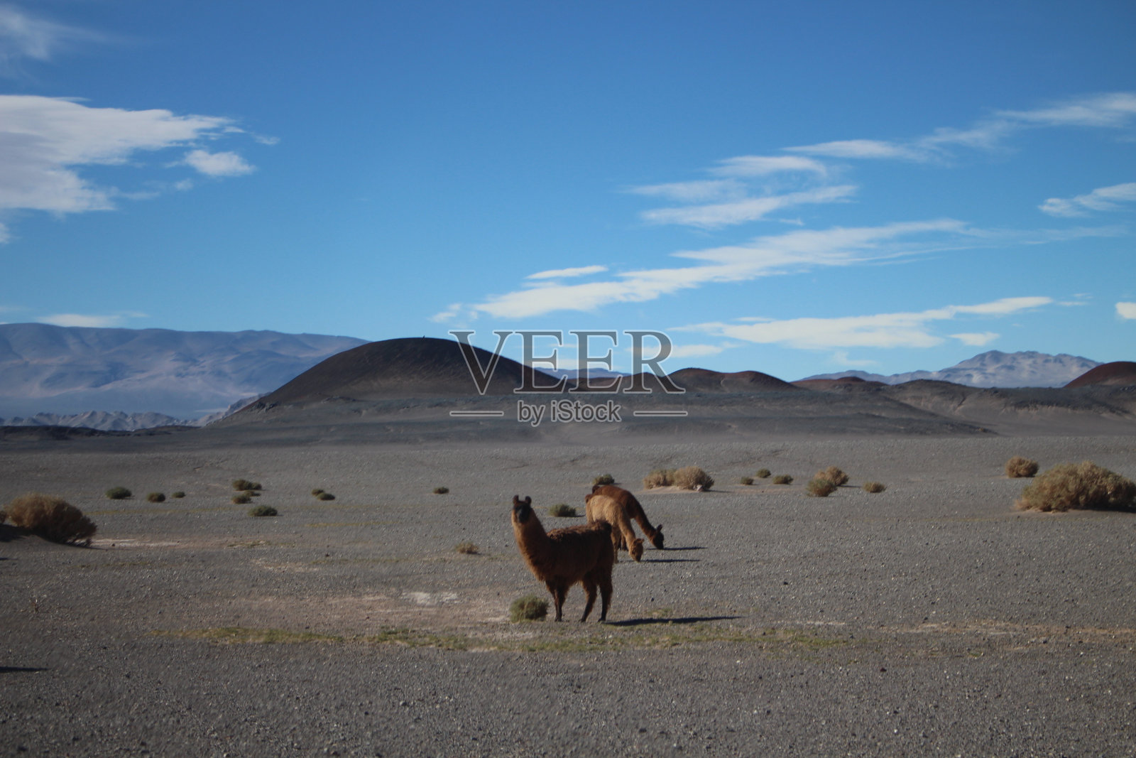 阿根廷普纳令人难以置信的火山和沙漠景观照片摄影图片