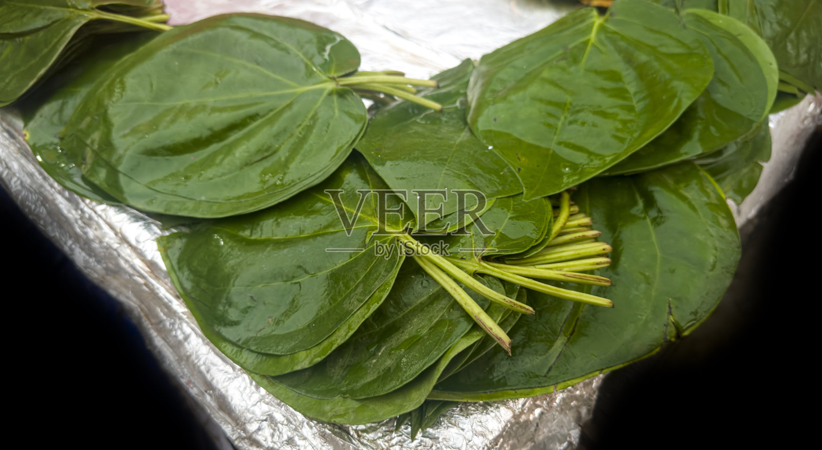 槟榔嚼槟榔，又称槟榔嚼照片摄影图片