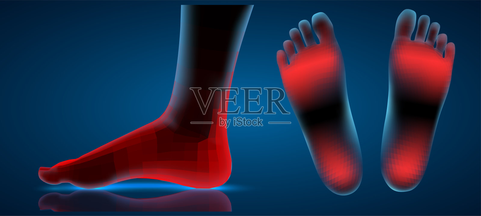 向量人脚。蓝色的轮廓和红色的疼痛点。用于医学和骨科的现成元素插画图片素材