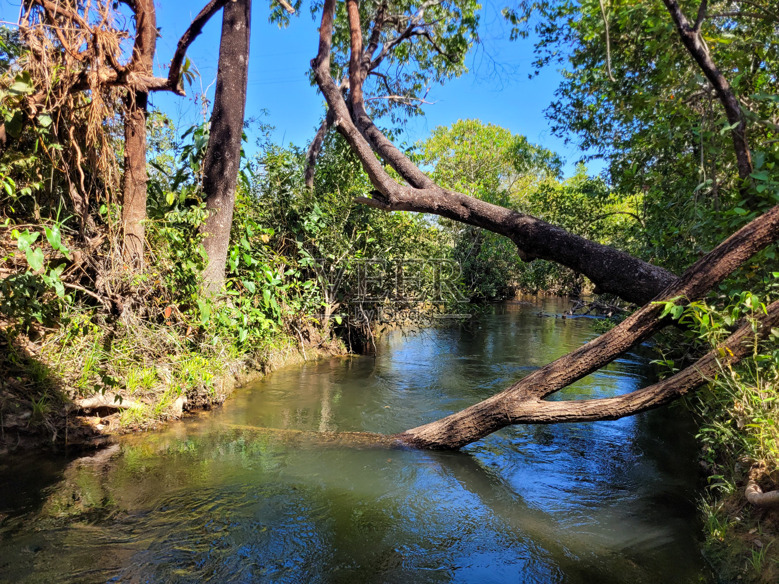 美丽的河流在大自然中形成海滩照片摄影图片