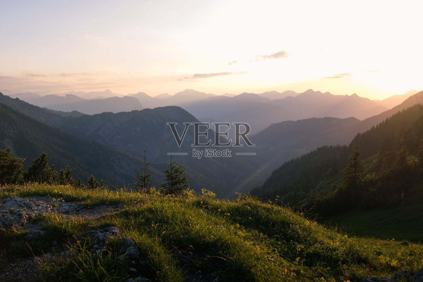 怀尔德凯瑟照片摄影图片