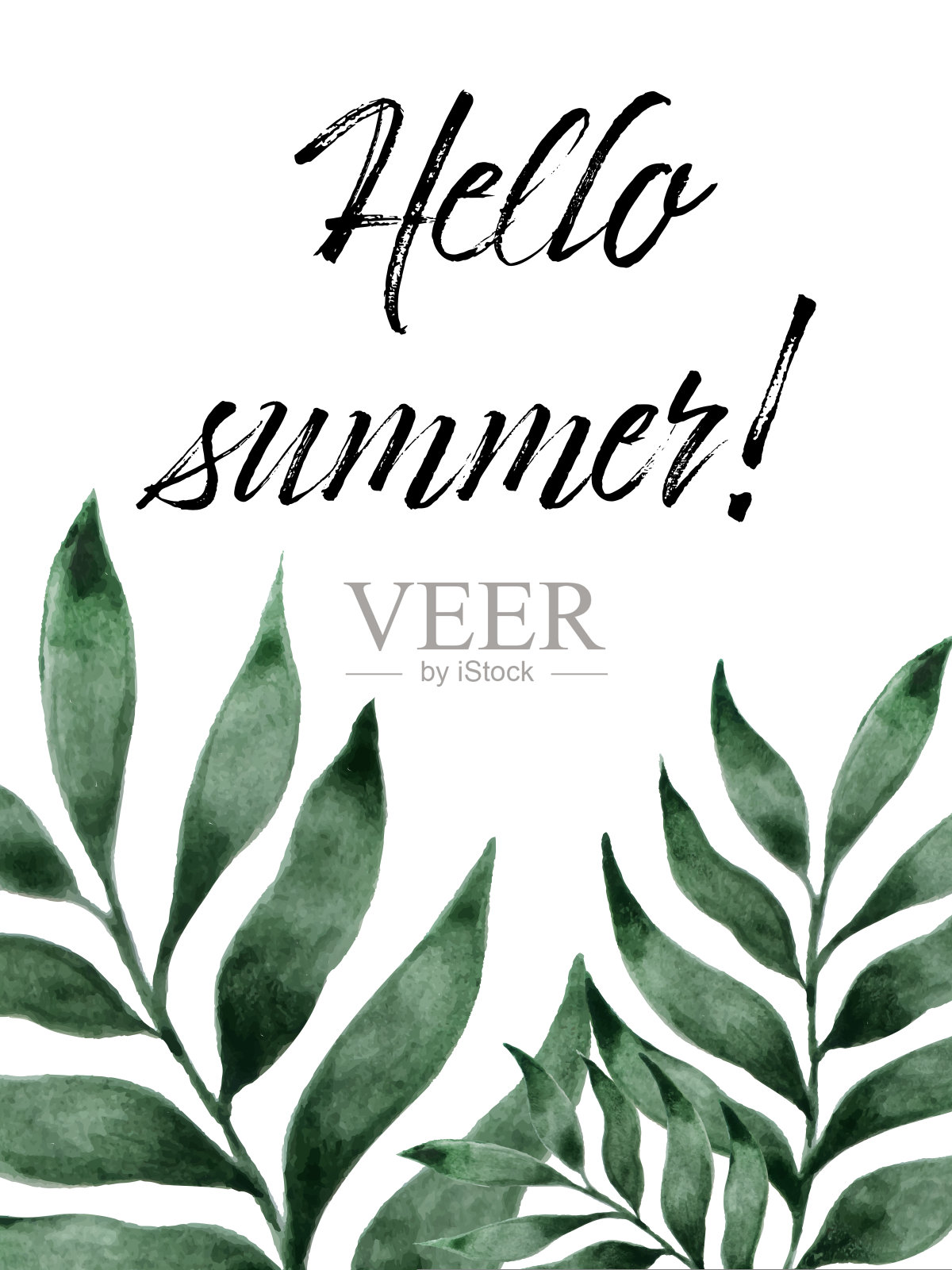 你好，白色的棕榈叶夏天。夏天的海报。夏季刻字用于贺卡、请柬模板插画图片素材