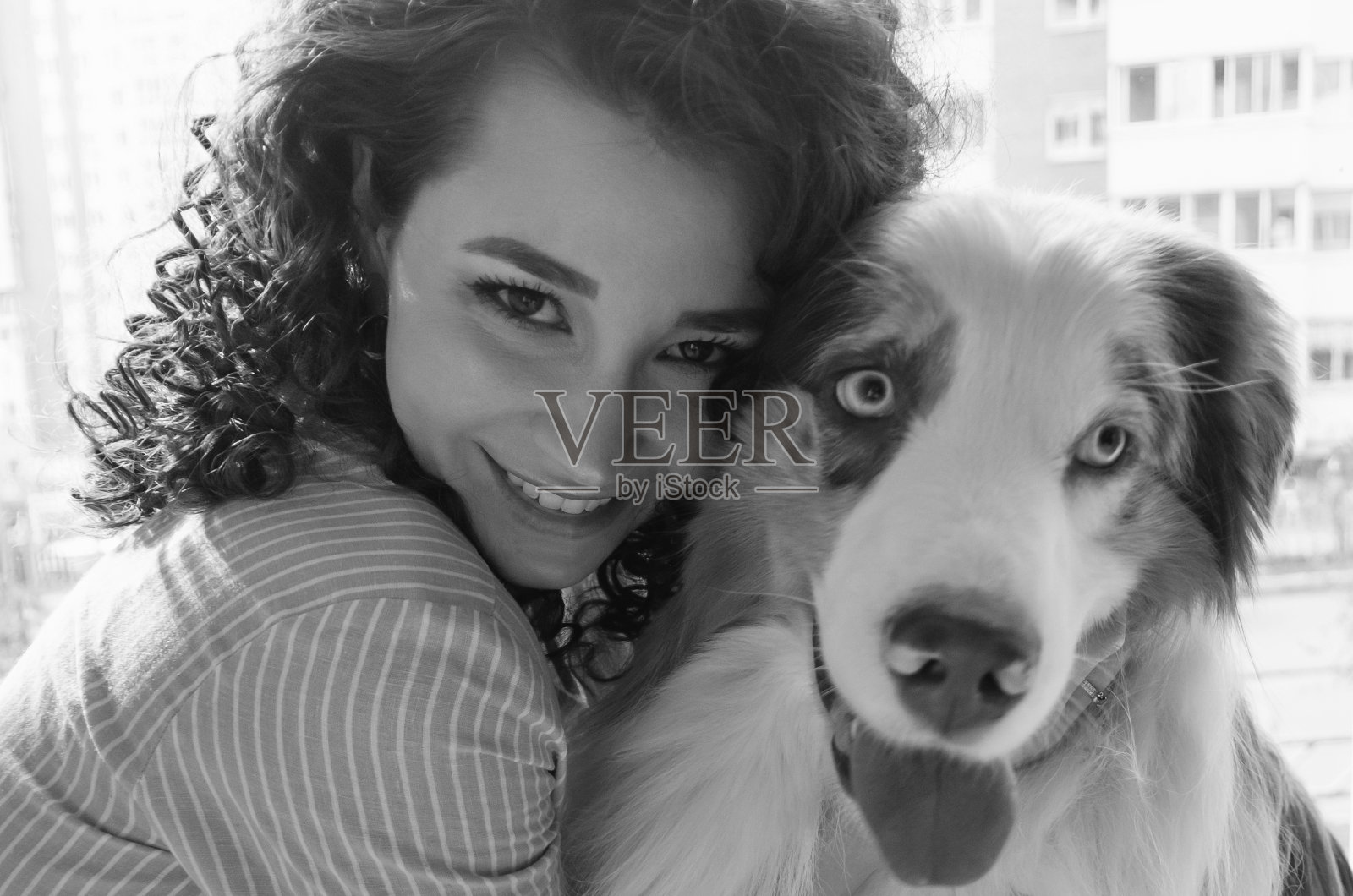 美丽的女人和她的狗一起摆姿势，澳大利亚牧羊犬和年轻的卷毛女人，宠物和休闲的概念照片摄影图片