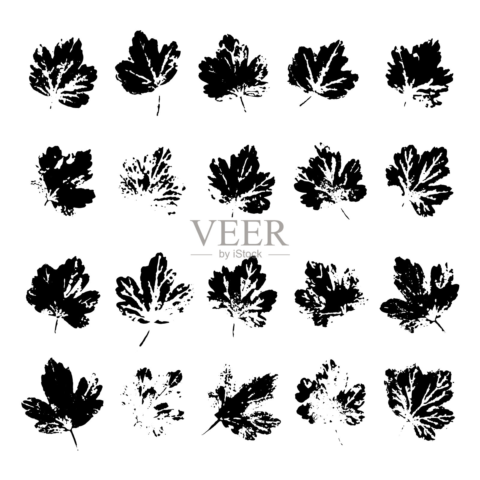 醋栗叶黑色印花套装插画图片素材