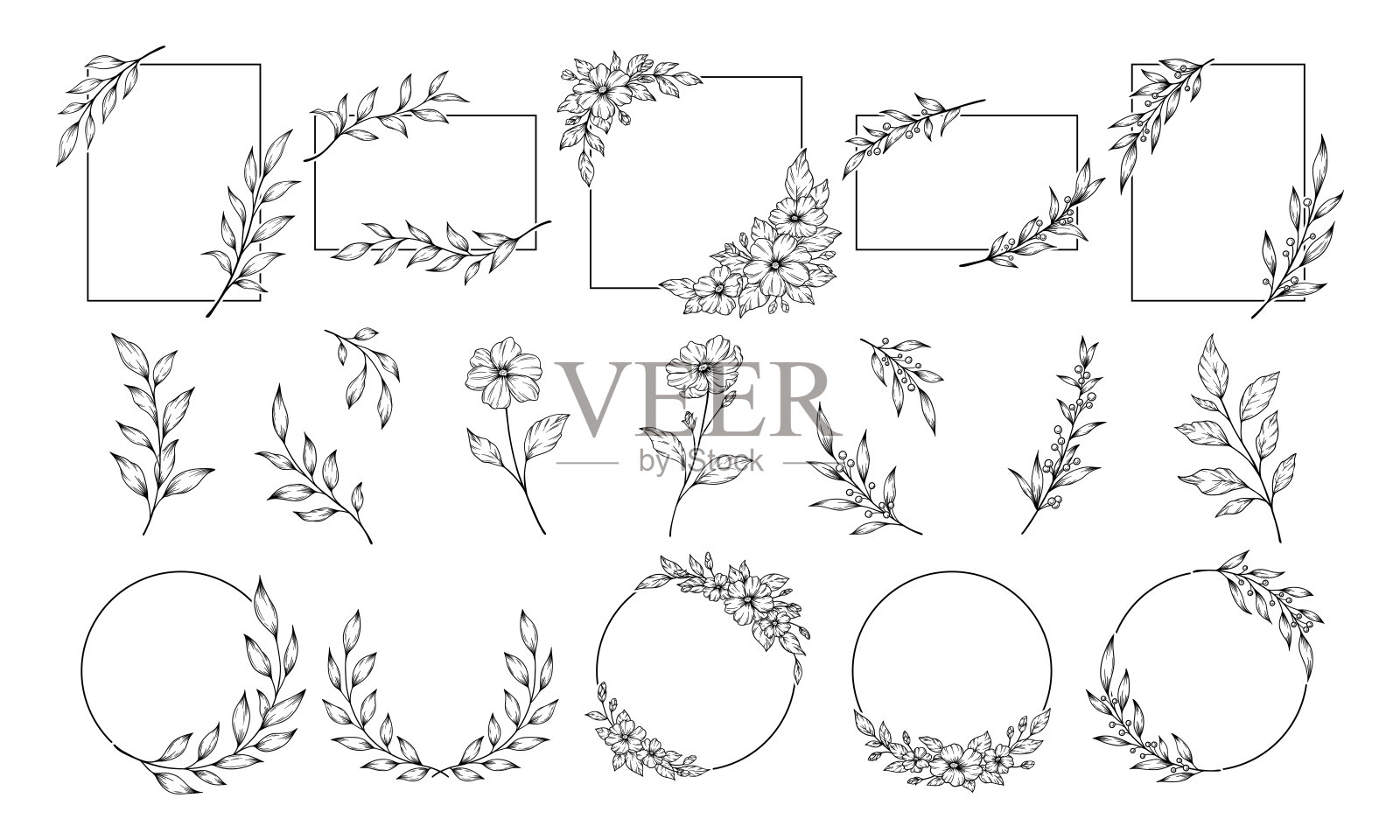 黑线画，黑线画，一套装饰框，植物夹艺术。花和叶线艺术。插画图片素材