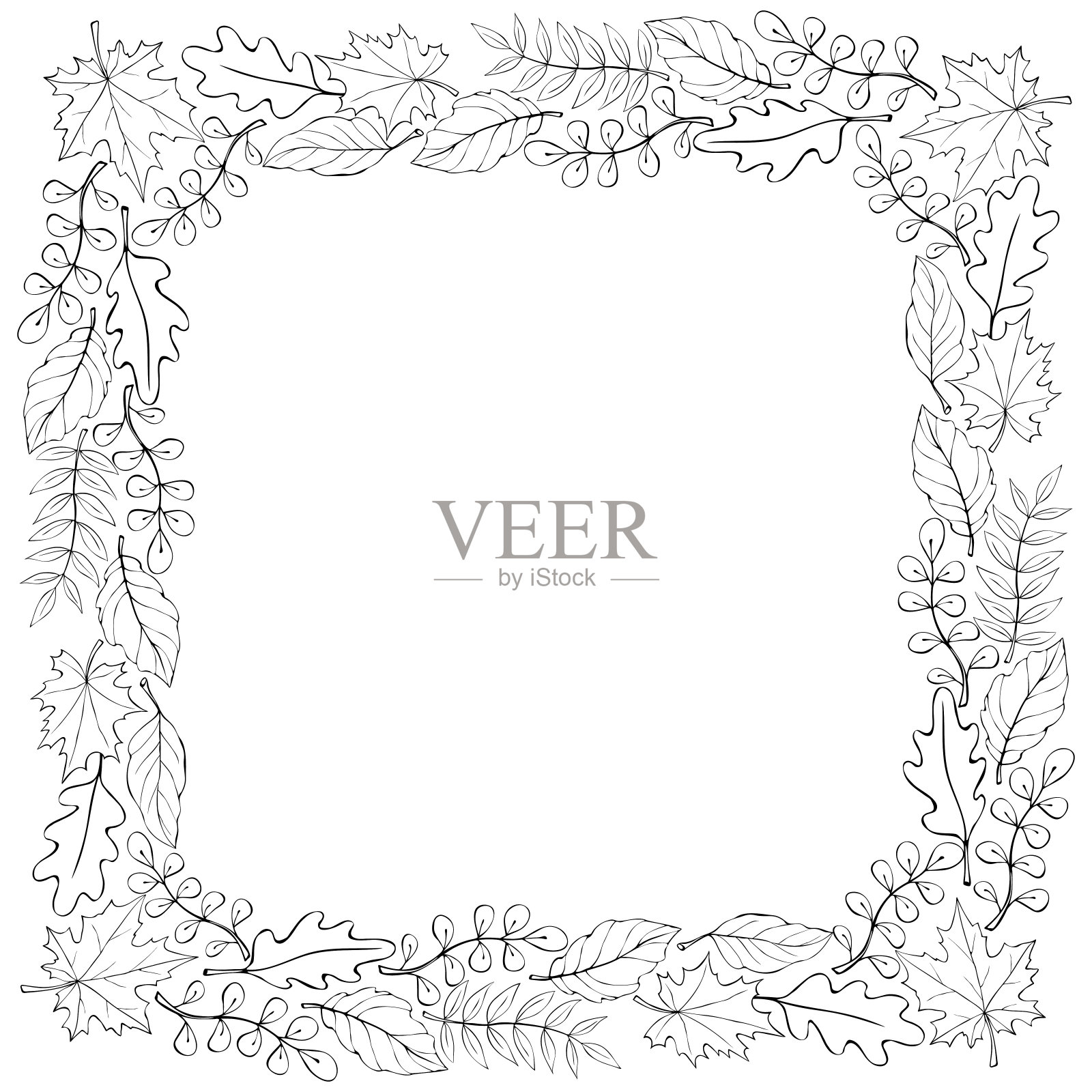 方形矢量框架，边框由黑色轮廓叶手绘涂鸦风格。主题是森林，自然设计元素图片