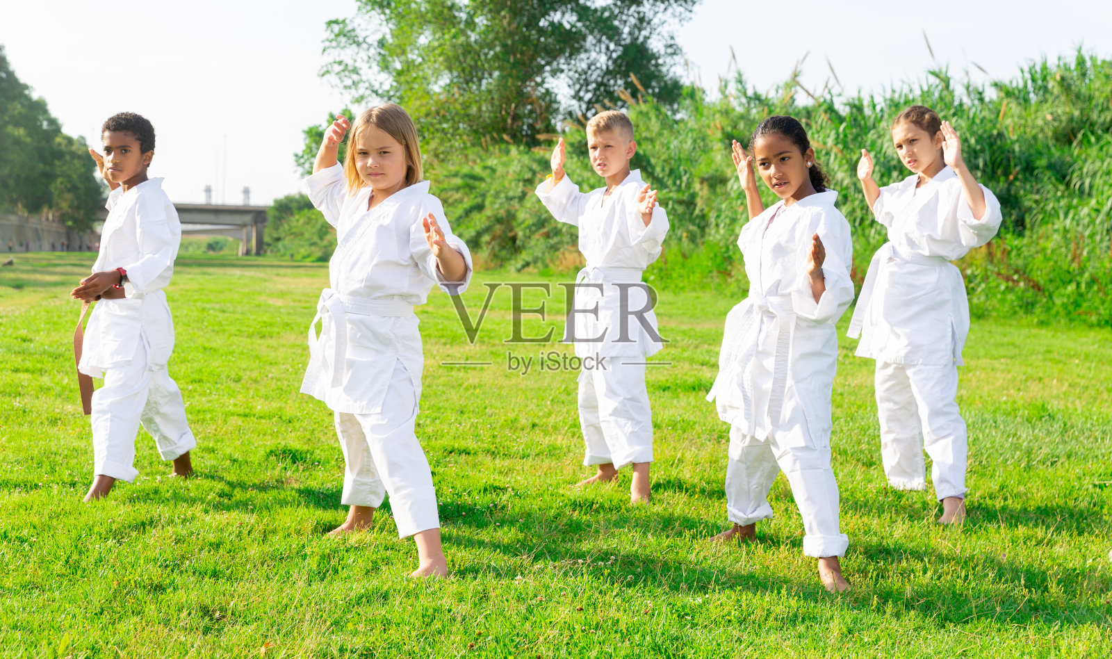 来自不同国家的青少年在草坪上学习空手道动作照片摄影图片