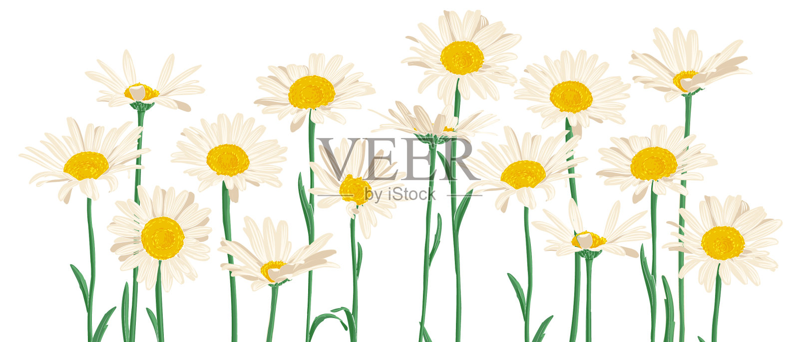 画的野花设计元素图片