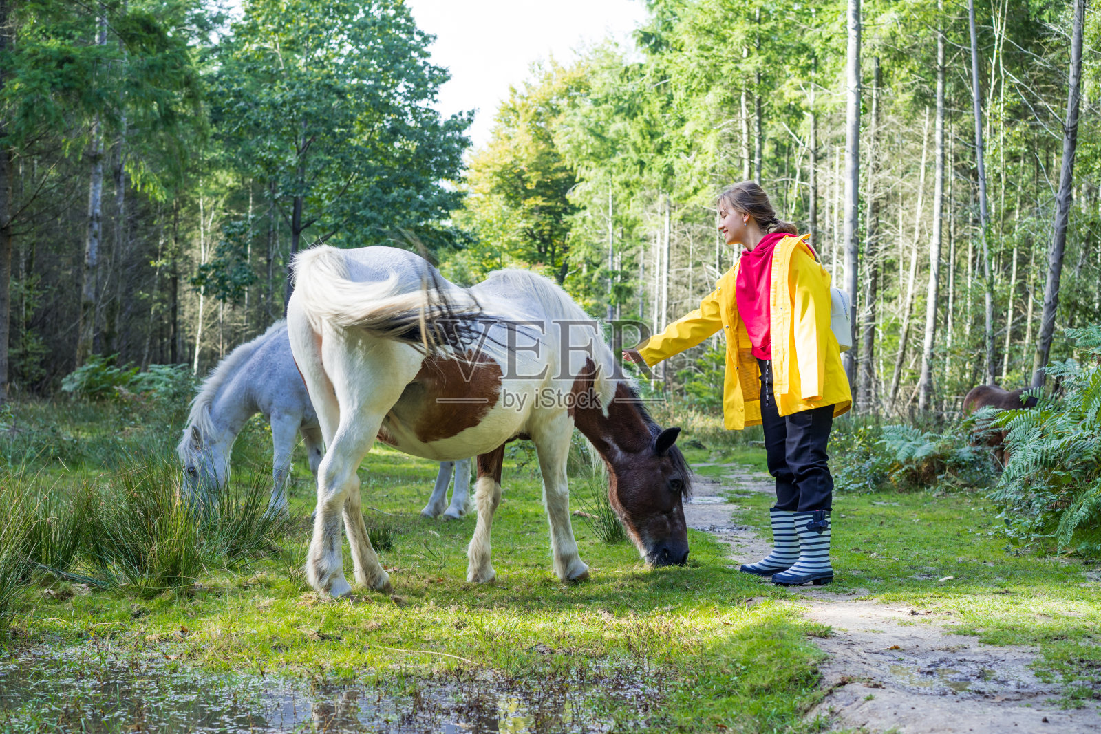 在阳光明媚的秋日或春日，身穿明黄色雨衣的年轻女子微笑着抚摸着在森林里散步的美丽的野生白马。对自然放松。有选择性的重点。照片摄影图片