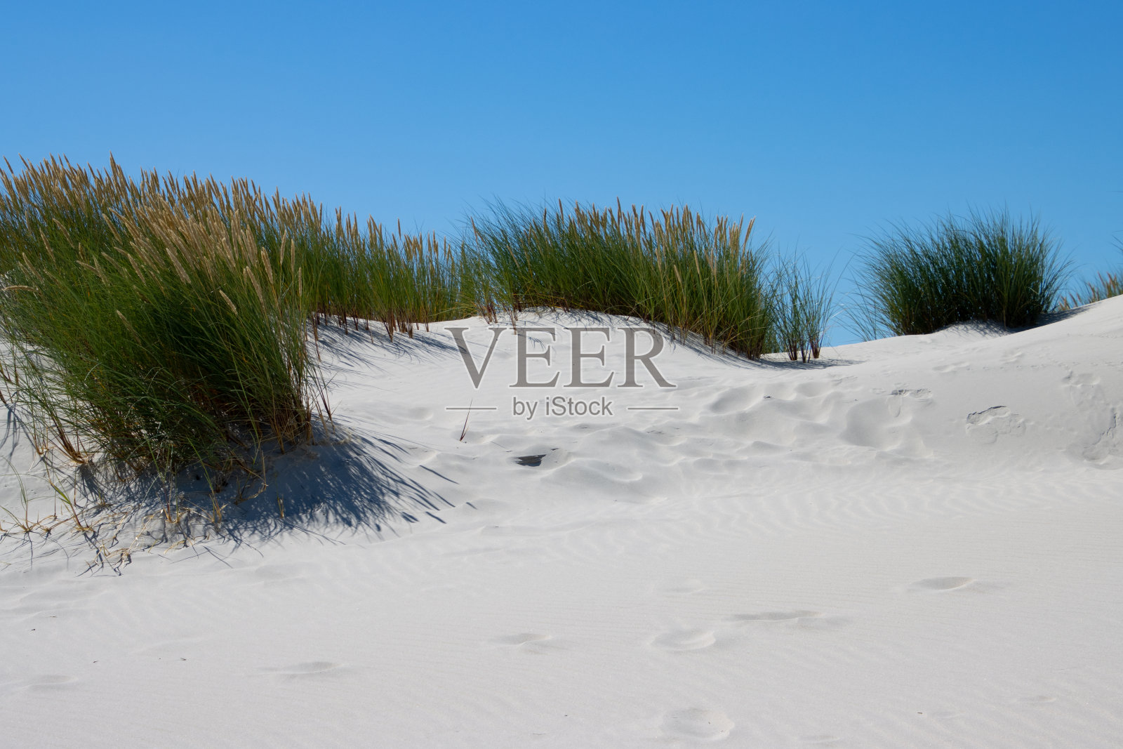 阿姆鲁姆岛上的沙丘景观照片摄影图片