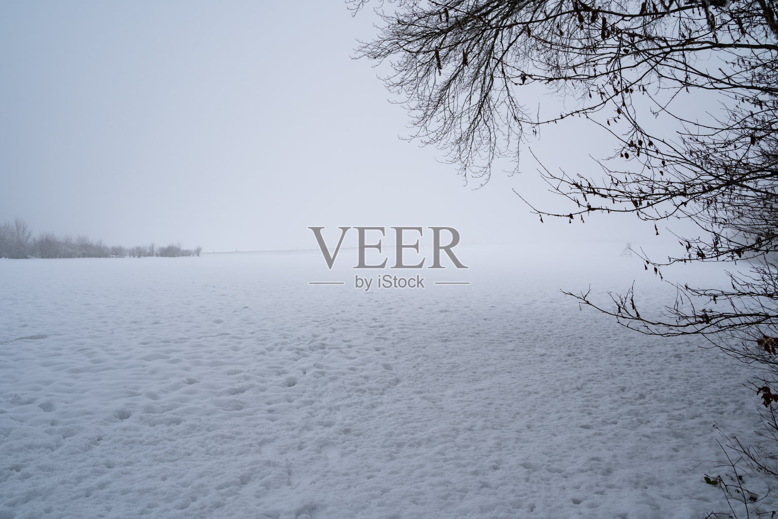 雾蒙蒙的早晨，白雪覆盖的冬日风景照片摄影图片