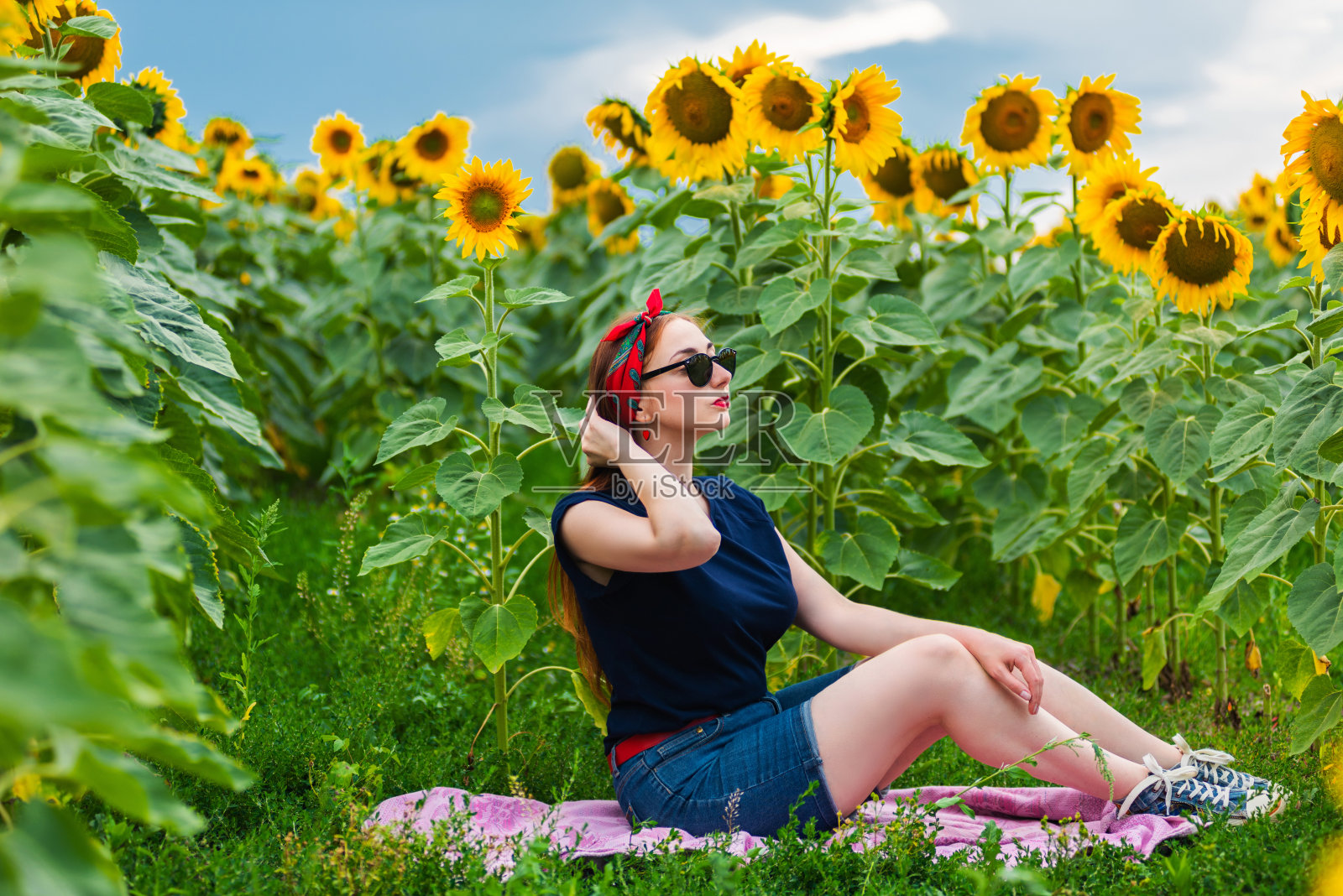 向日葵田里的迷人海报女郎照片摄影图片