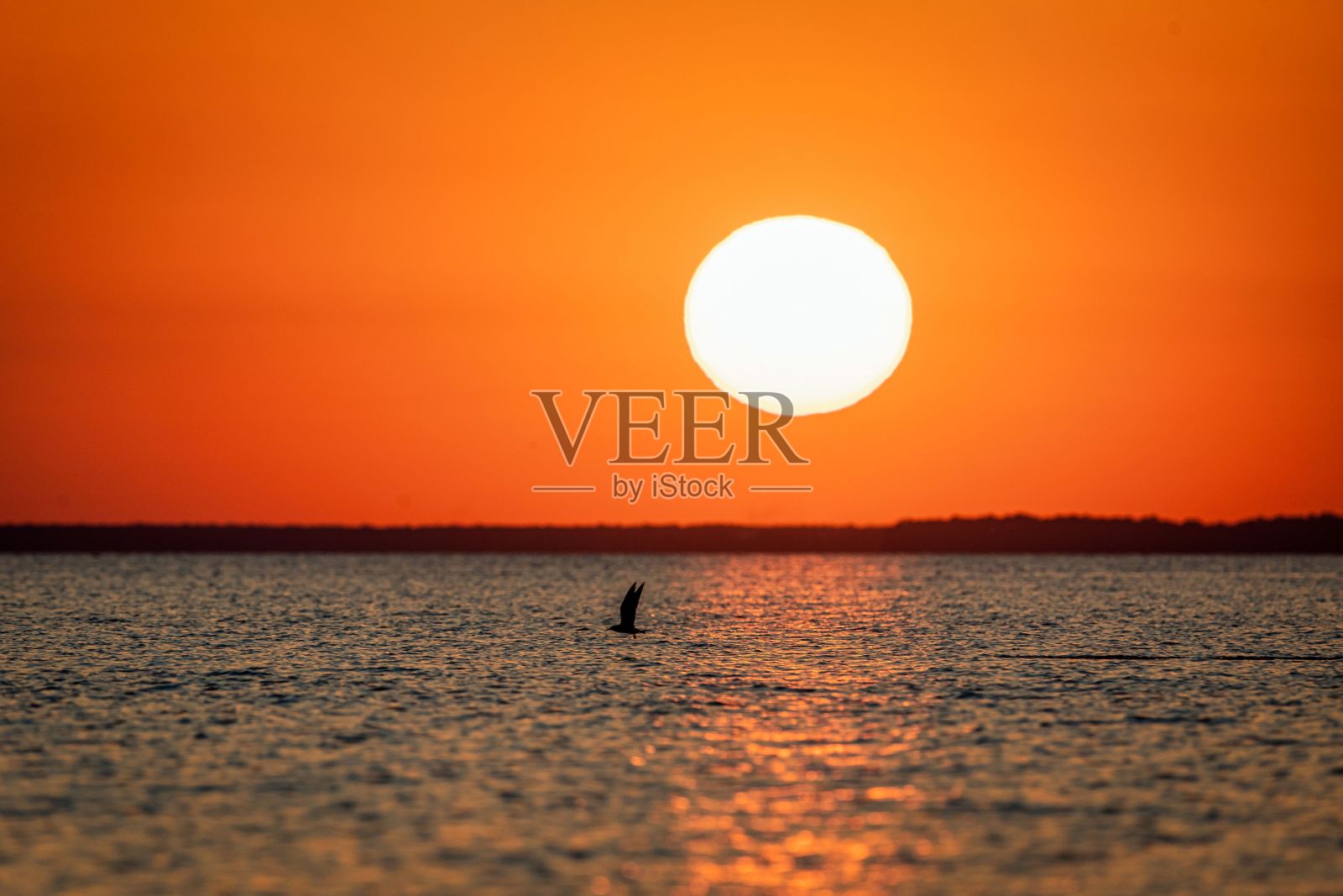 海上金色日落的迷人景色照片摄影图片