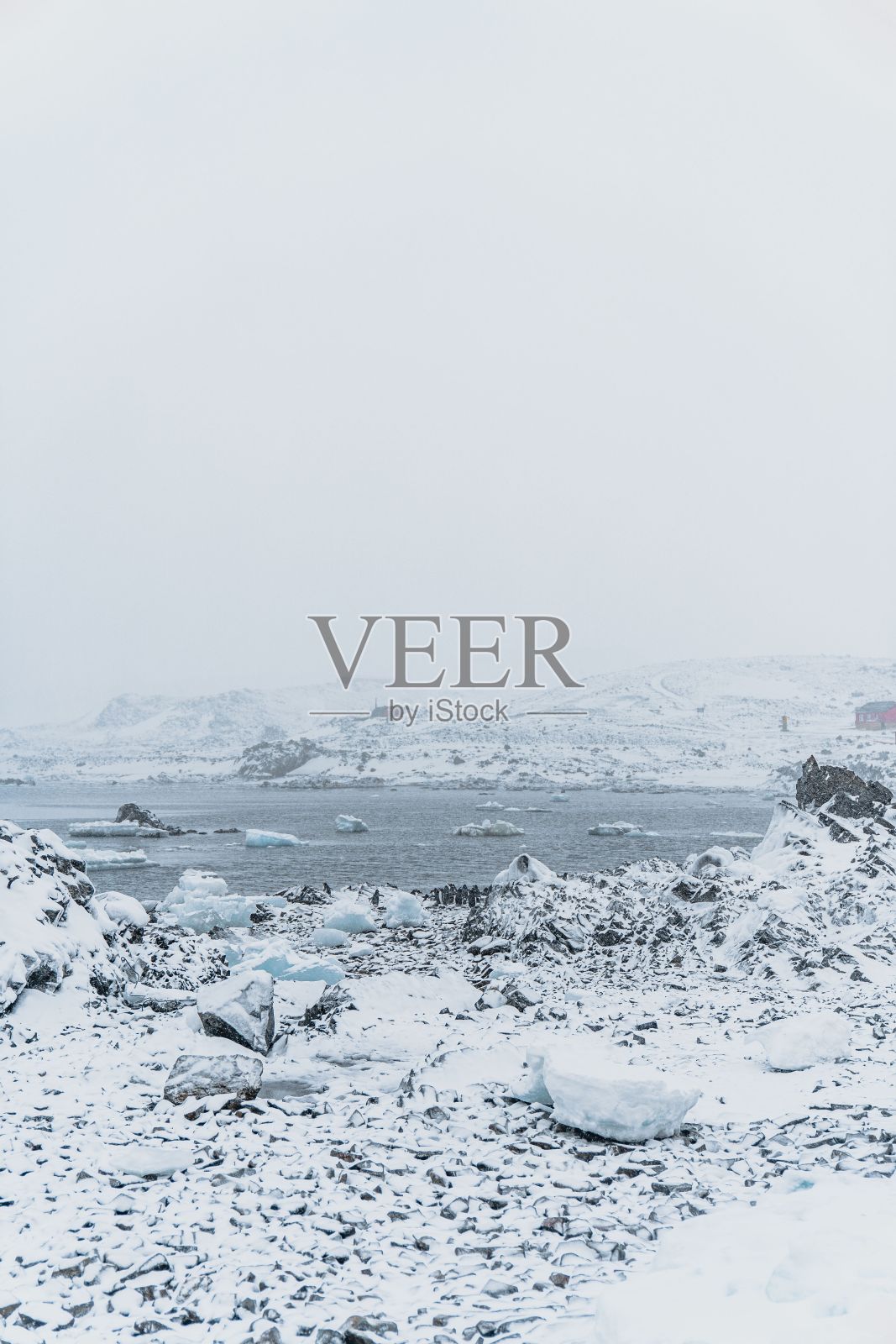 垂直拍摄的南极雪景与冰冻的水和白色的天空背景照片摄影图片