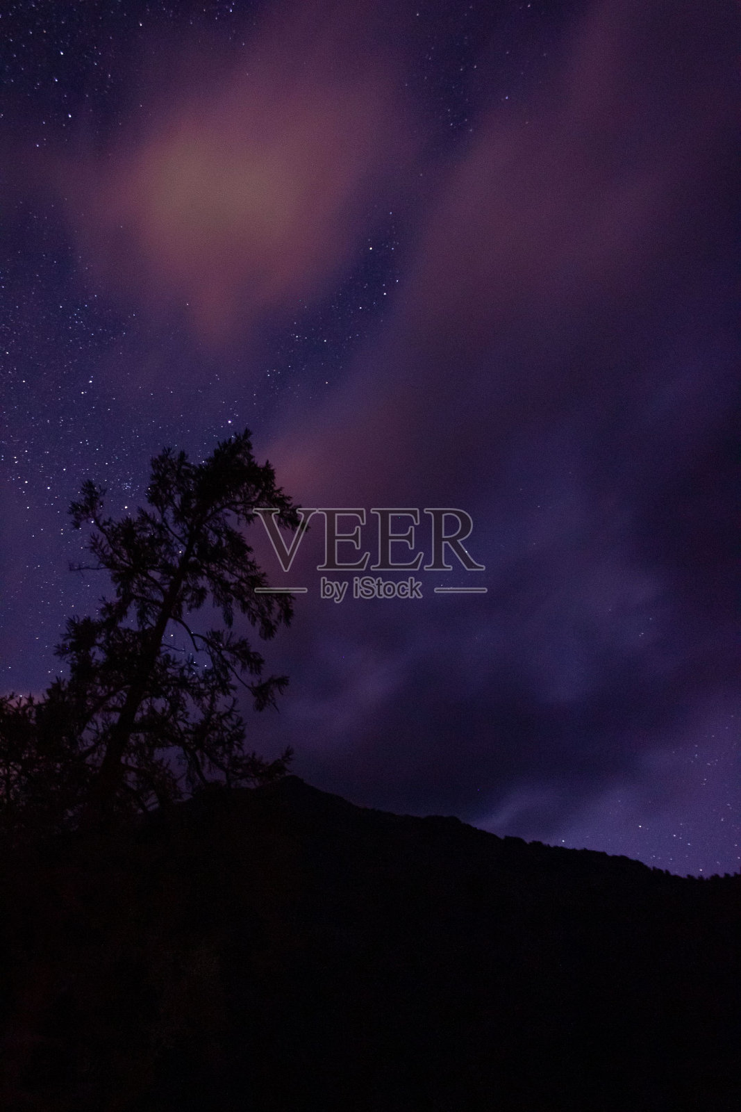 垂直拍摄的紫色星空和多云的夜空对着一棵树的剪影照片摄影图片