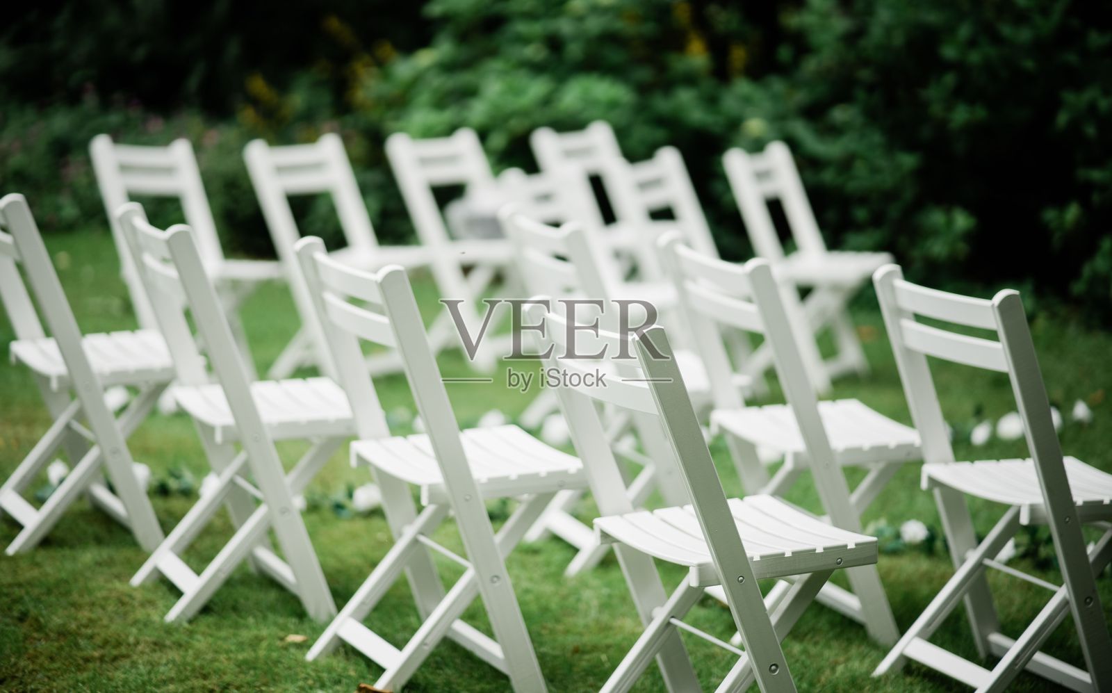 婚礼当天，花园里的白椅子照片摄影图片