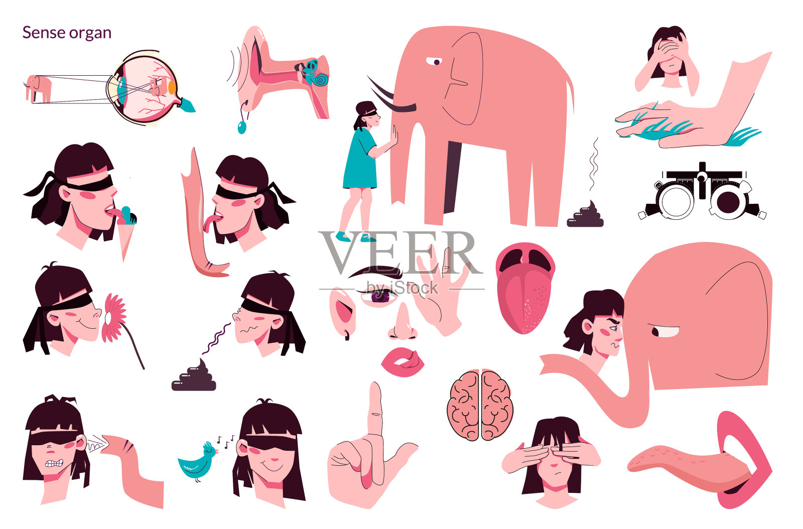 人的感官器官平面图标集图标素材