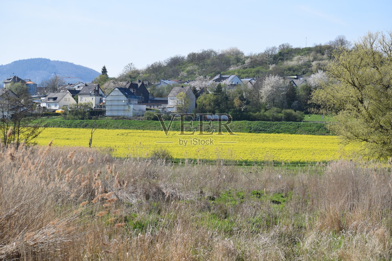 村Thür照片摄影图片