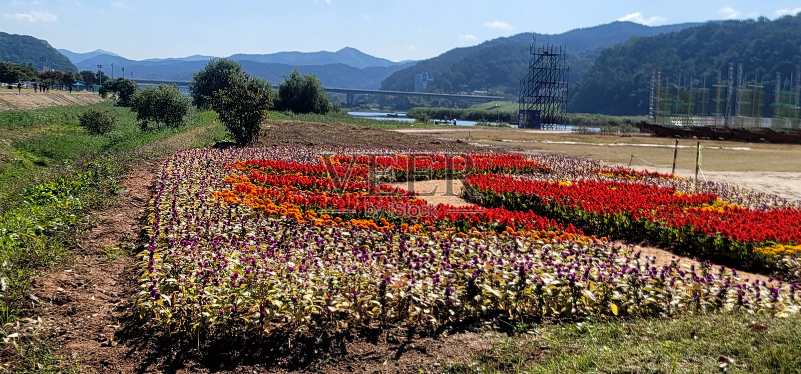 VH560-000 花田1.jpg照片摄影图片